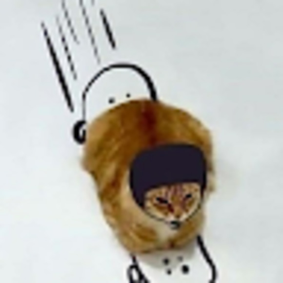 Meet your Posher, Briana - Picture 1 of 1